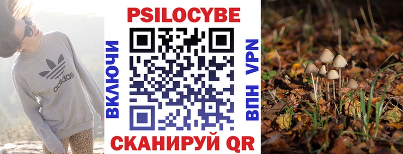 Галлюциногенные грибы мицелий ОМГ ОМГ как зайти Барыш
